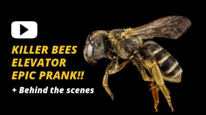 Banner Maker Make A Banner For Your Business